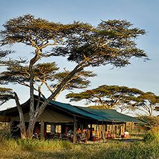 Nyikani Camp, Central Serengeti