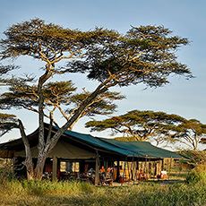 Nyikani Camp, Serengeti