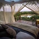 Star Beds Safari Sleep Out Garonga Kruger Durban Beach South Africa