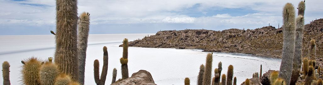 Bolivia Holidays Tours La Paz Uyuni Salt Flats Lake Titicaca Gran Chaco