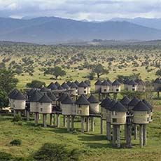 Sarova Salt Lick