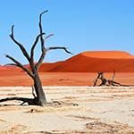 Wheelchair Safari Namibia Etosha Accessible Hotels Holidays Vacations