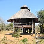 Rhino Safari Camp