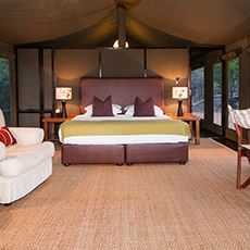 Hillsnek Safari Camp, Amakhala