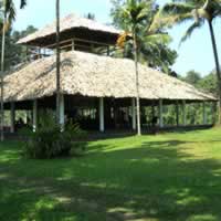 Hornbill Camp