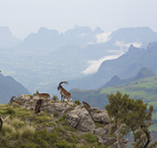 Ethiopia Tour Lake Tana Simien Mountains Gondar Lalibela Churches