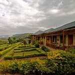 Silverback Lodge