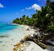 Costa Rica and Panama Canal Holiday Arenal Sloths Bocas Del Toro