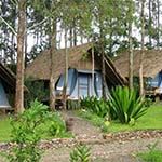 Eco Omo Lodge