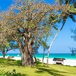 Nomad Beach Resort