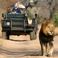 Serondella, Thornybush