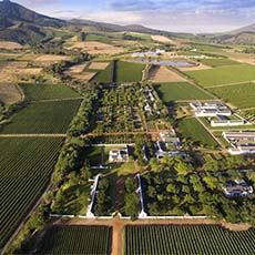 Babylonstoren