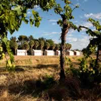 Kalahari Farmhouse