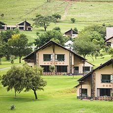 Alpine Heath