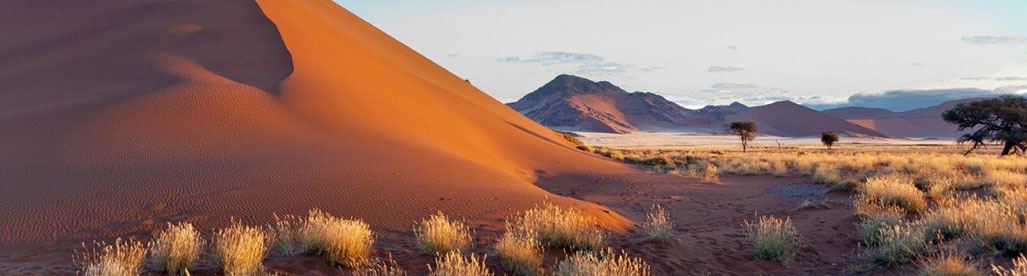 Namibia Holidays Road Trip Self Drive Safari Tours Etosha Namib Desert