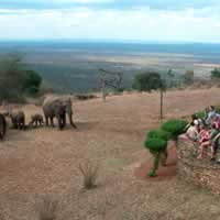 Ngulia Safari Lodge