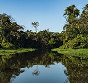 Holiday to Costa Rica Arenal Manuel Antonio Esterillos Beach Pacific