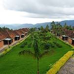 Nyungwe Top View