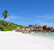 South African Safari Nambiti Malaria Seychelles Praslin Family Holiday