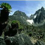 Best Time To Climb Mount Kenya Sirimon Chogoria Route Guide Safari