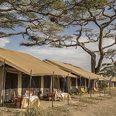 Serengeti Sojourn Camp
