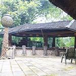 Rainforest Lodge, Mabira