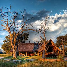 Bomani Tented Lodge