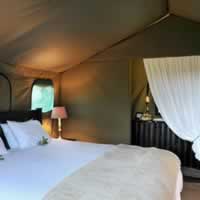 Karongwe Chisomo Safari Camp