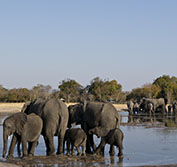 Northern Namibia Tours Windhoek Etosha Zambezi Botswana Victoria Falls