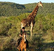 Luxury Horse Riding Holiday South Africa Safari Ants Nest Cape Town