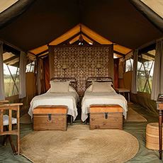 Serengeti Safari Camp