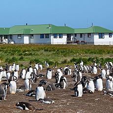 Sea Lion Lodge