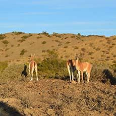 Rustico Cerro del Valle