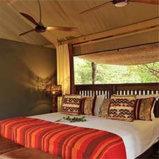 Changa Safari Camp