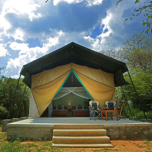Wilpattu Safari Camp
