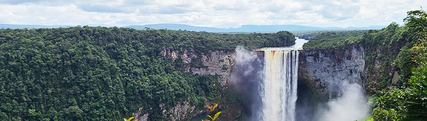 Guyana Holidays Birding Tours Packages Hotels Flights to Georgetown Rainforests