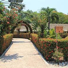 Villa Mercedes, Palenque