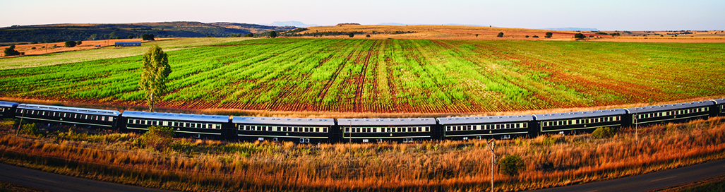Luxury Train Journeys South Africa India America Rovos Rail Holidays Blue Train