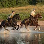 Botswana Mobile Horseback Safari Mashatu Tuli Horse Riding In Africa