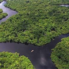 Tucano Riverboat