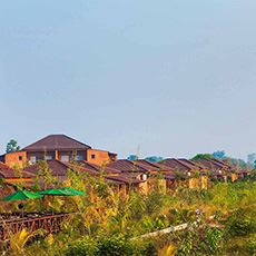 Bamboo Forest Safari Lodge