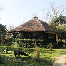 Rhino Lodge