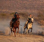 South Africa Horse Riding Holiday Safari Horizon Ants Nest Waterberg