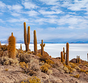Peru And Bolivia Tour Machu Picchu Lake Titicaca La Paz Salt Flats Uyuni