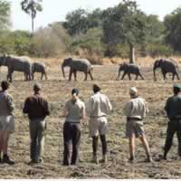 Luangwa Bush Camp