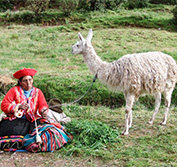 Holiday Peru Chile Argentina Brazil Machu Picchu Patagonia Rio De Janeiro Iguazu