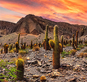 Argentina Self Drive Holidays Iguazu Salta Bariloche Patagonia Car Hire