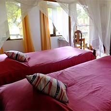 Bougainvillea Safari Lodge