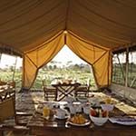 Serengeti Under Canvas