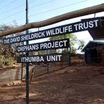 Ithumba Tented Camp